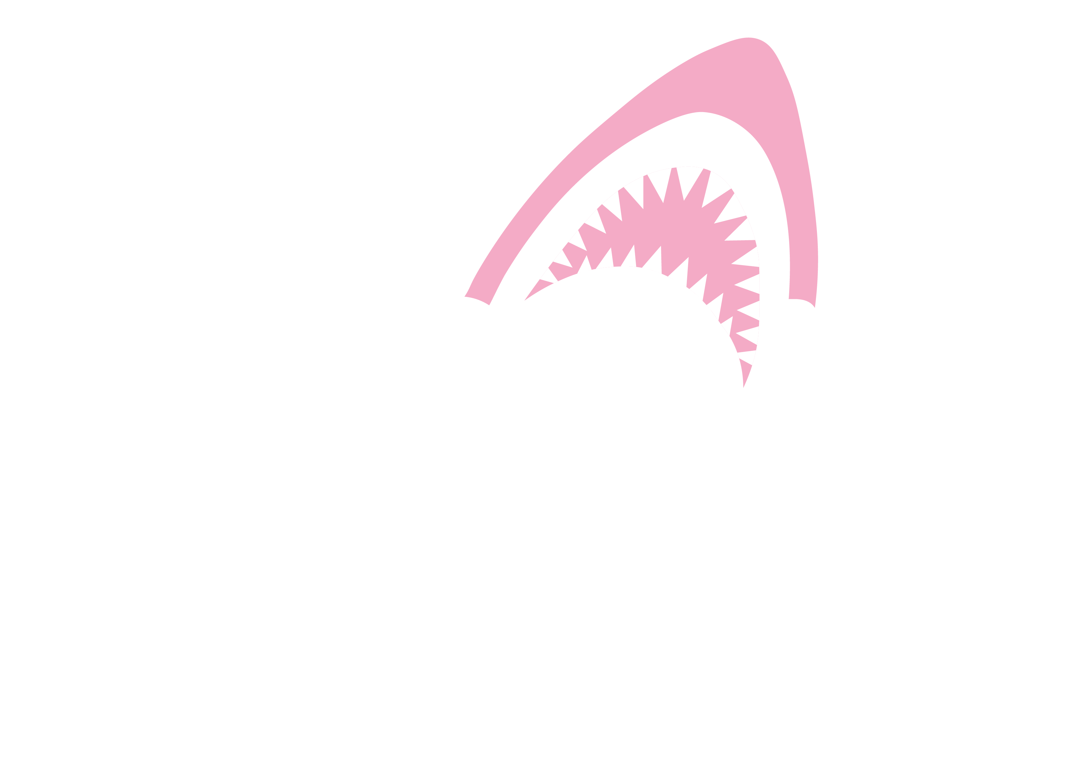 CBSN Logo